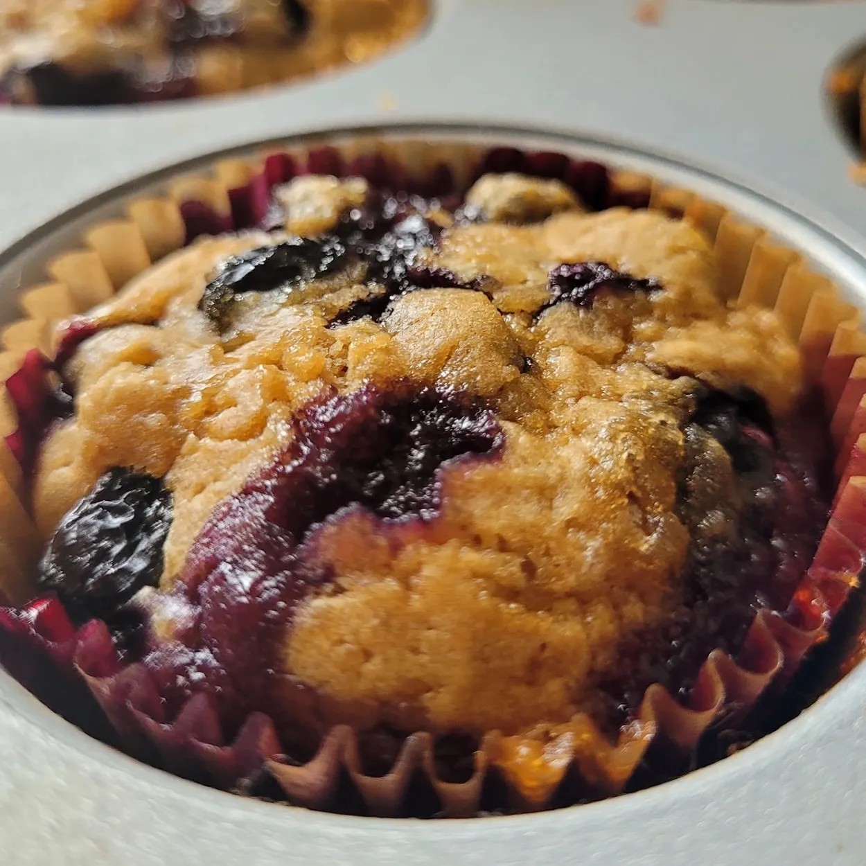 Image alt description