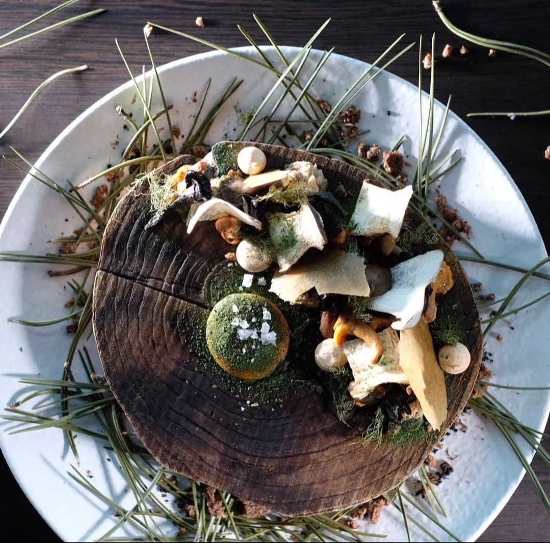 Image alt description