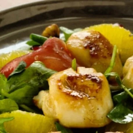 Image alt description