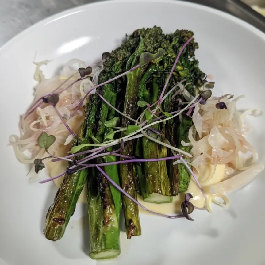 Image alt description