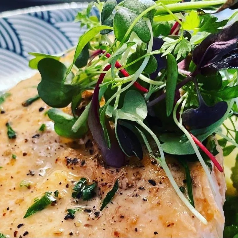 Image alt description