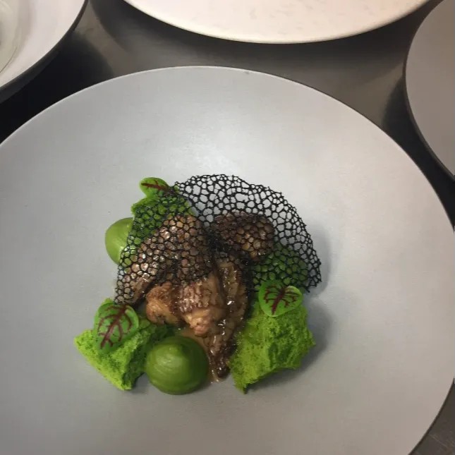 Image alt description