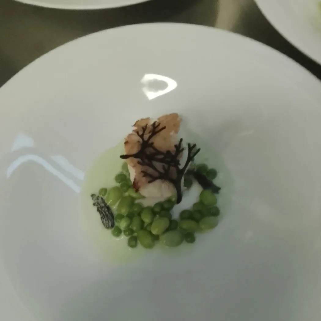 Image alt description