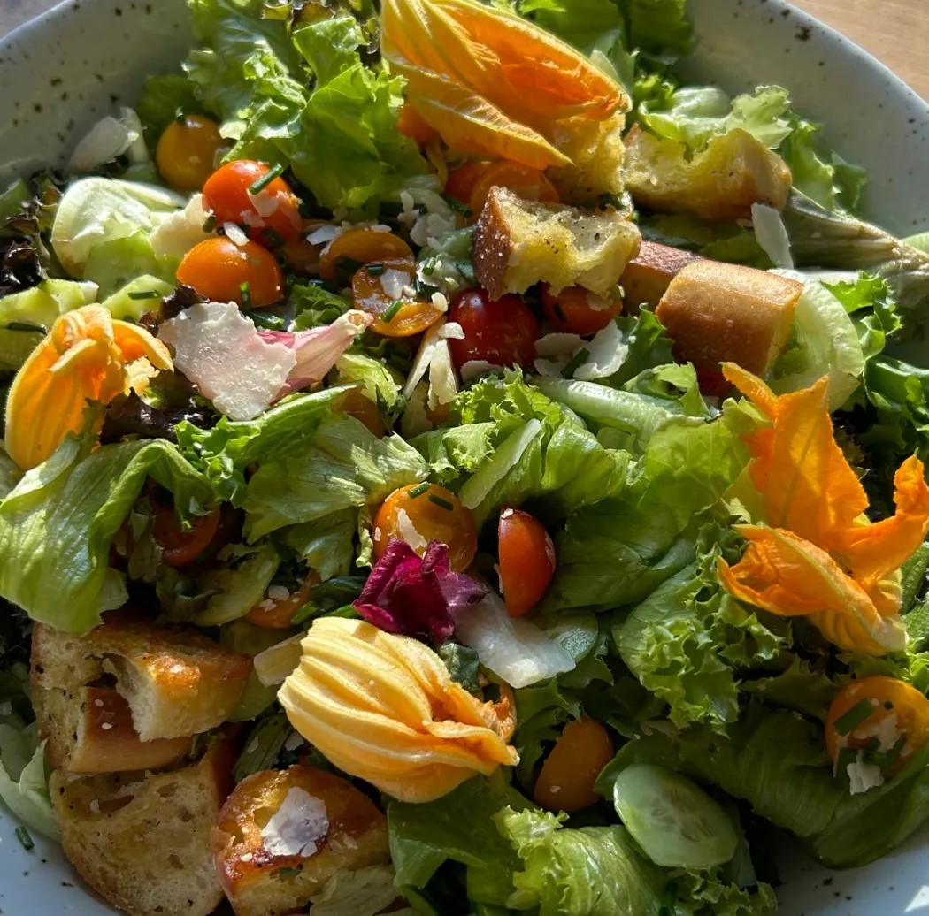 Image alt description