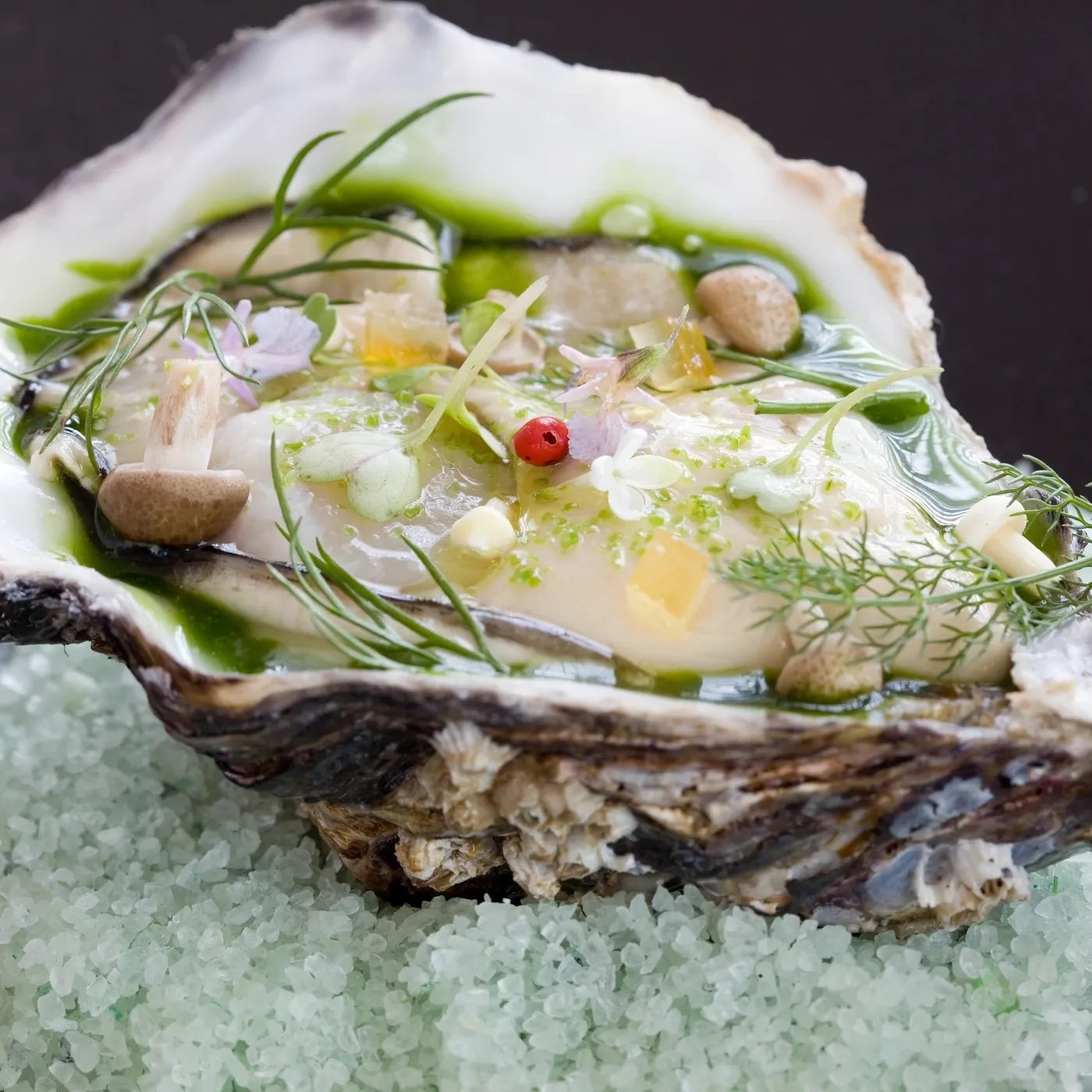 Image alt description