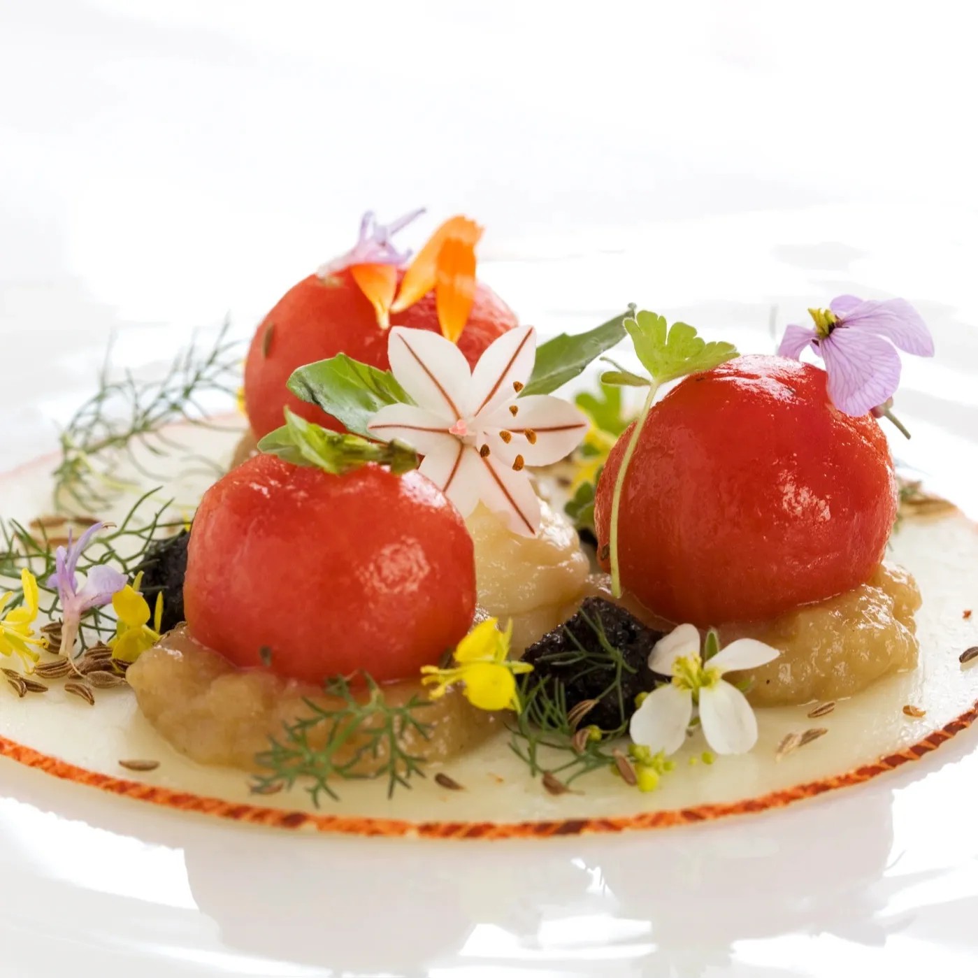 Image alt description