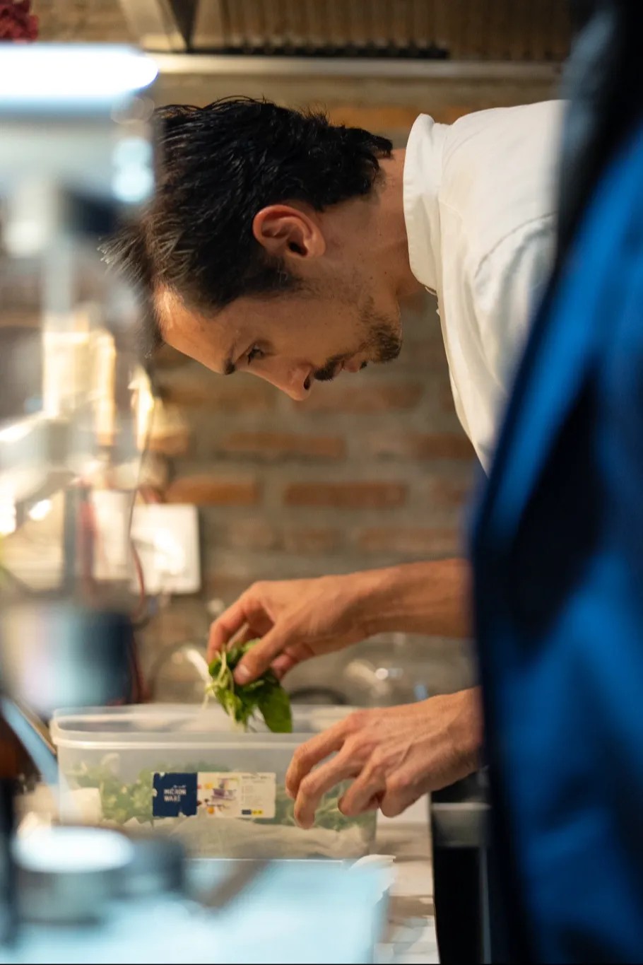 Image alt description