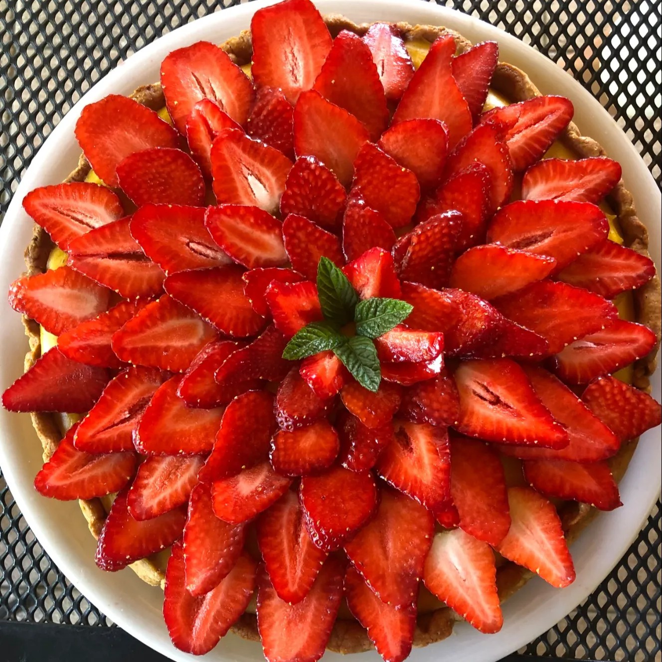 Image alt description