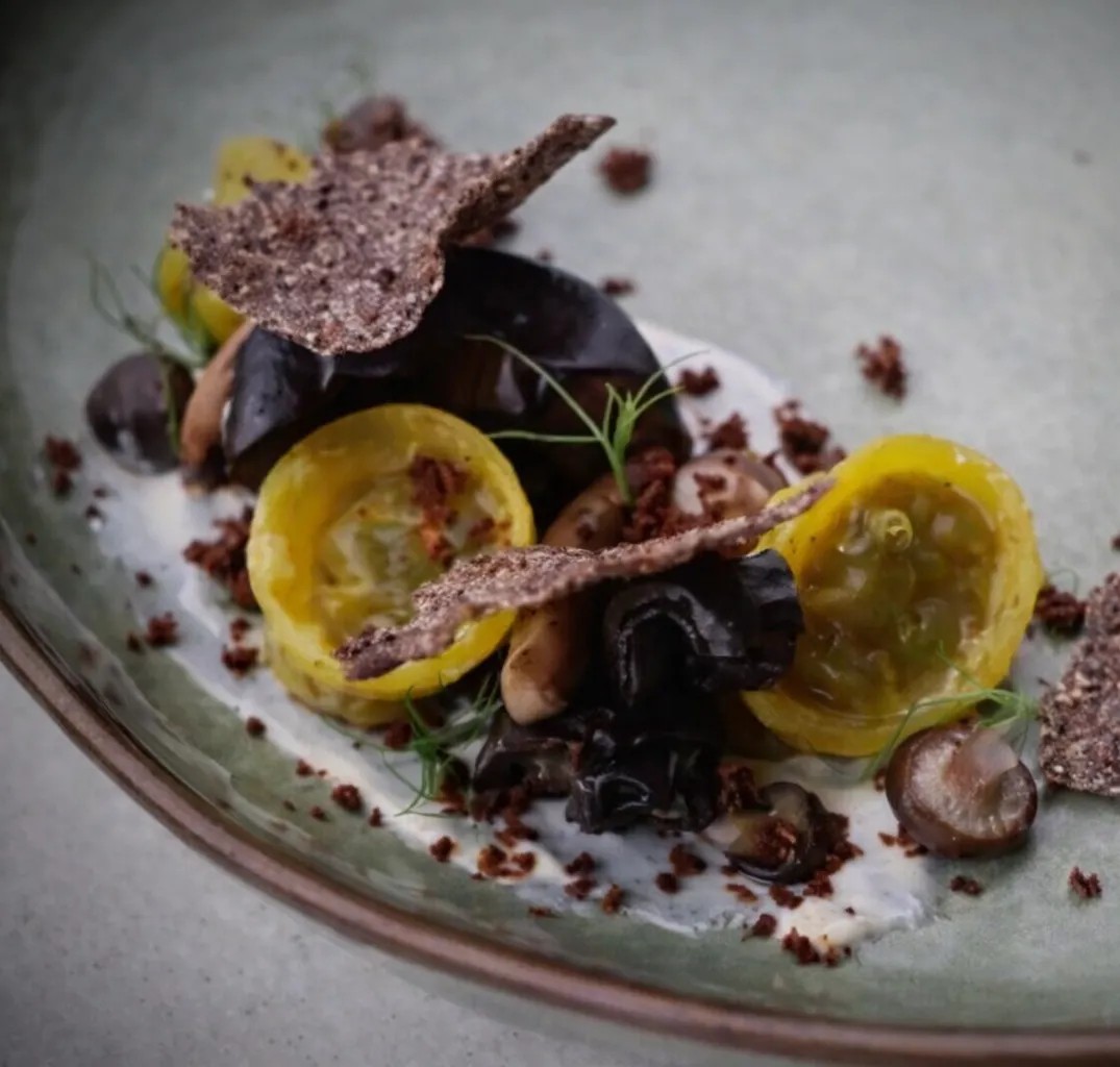 Image alt description