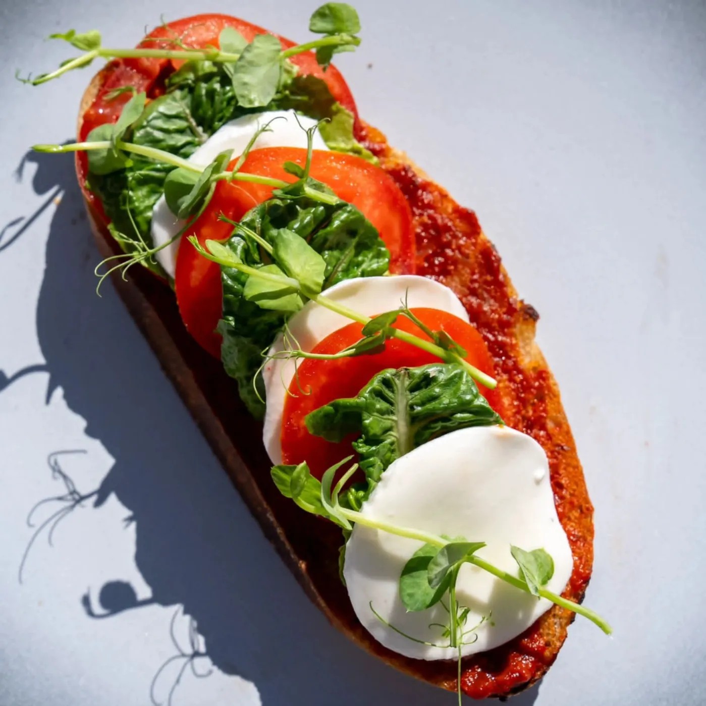 Image alt description