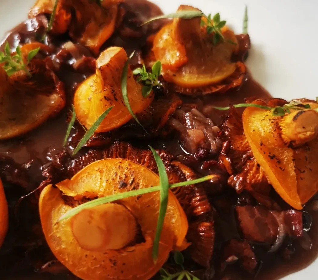 Image alt description