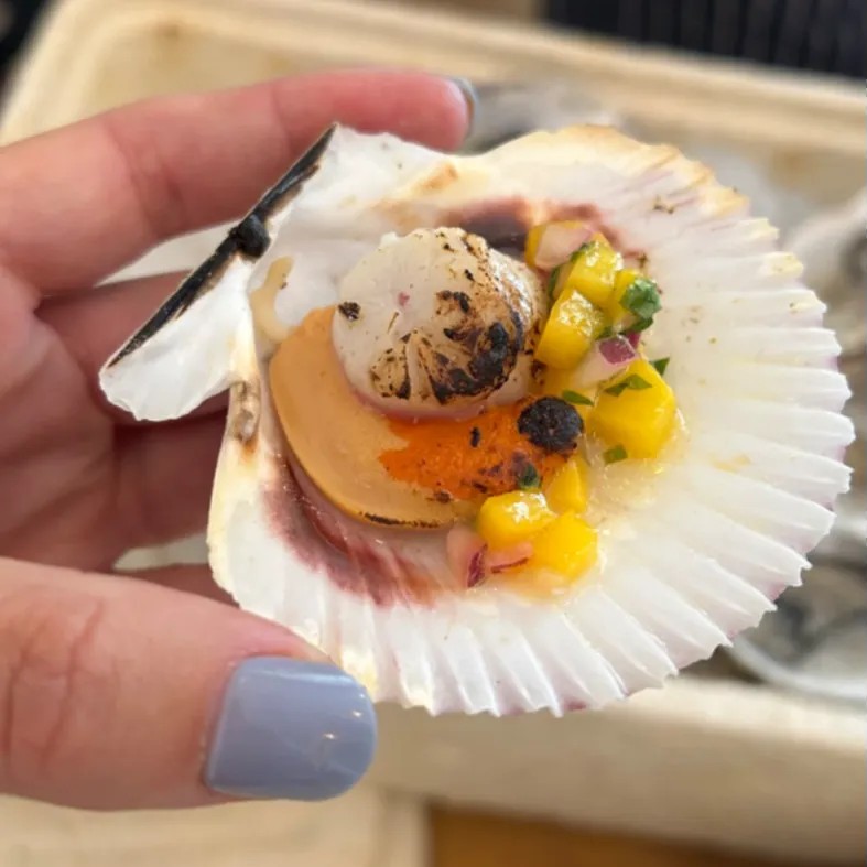 Image alt description