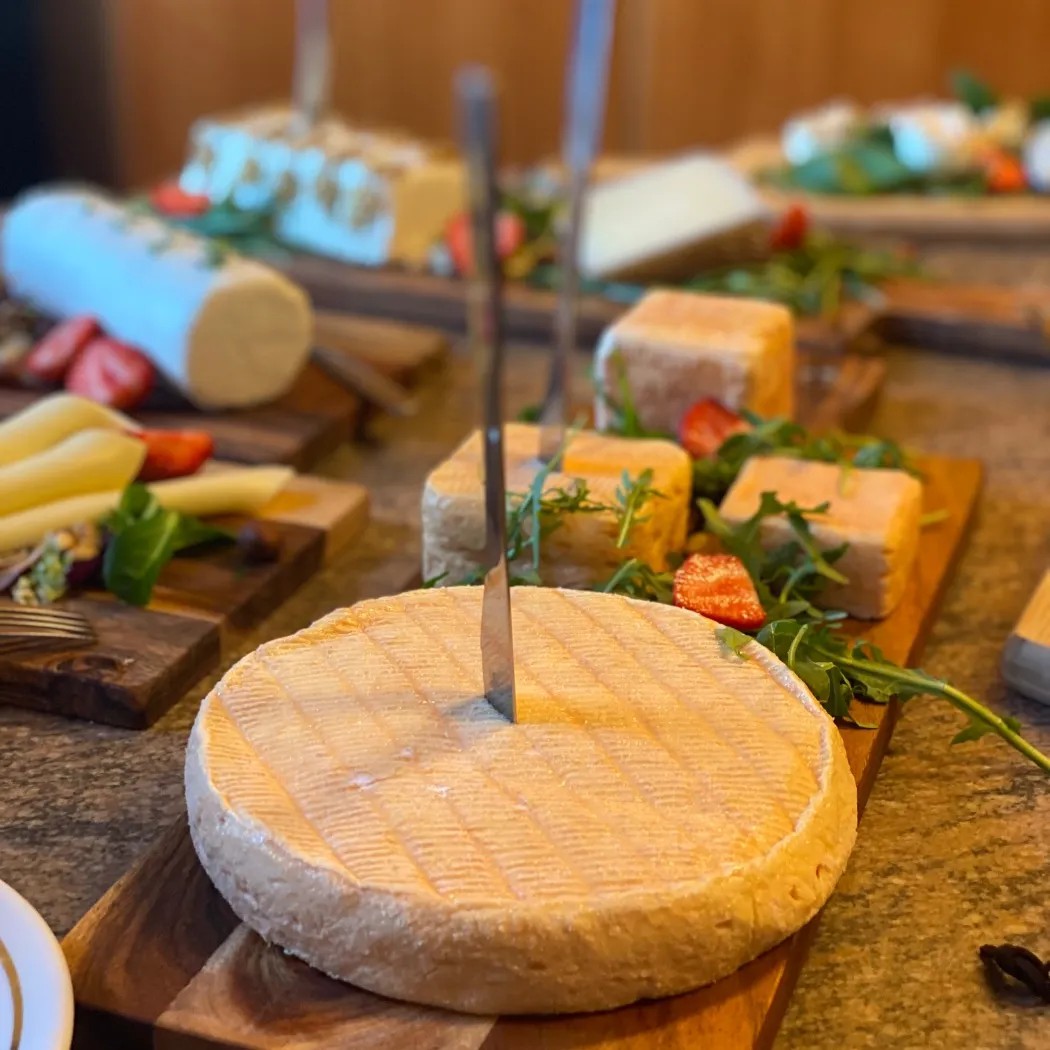 Image alt description