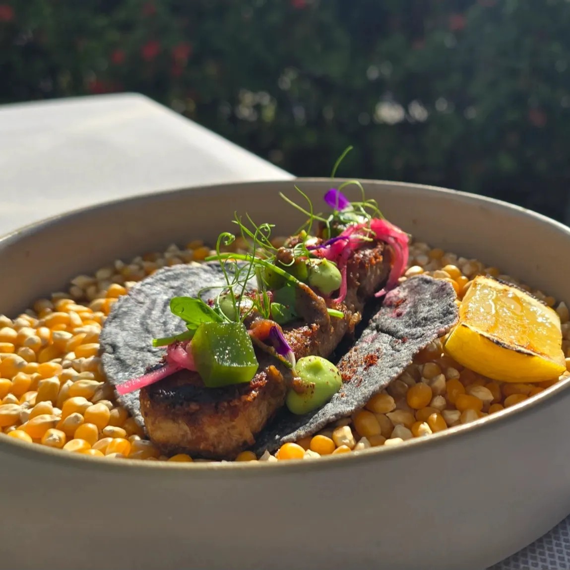 Image alt description