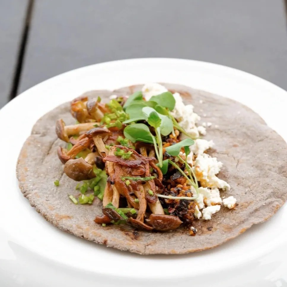 Image alt description