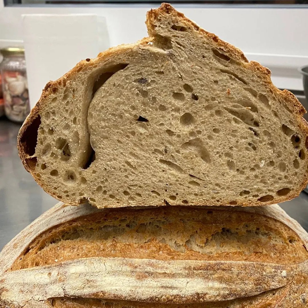 Image alt description