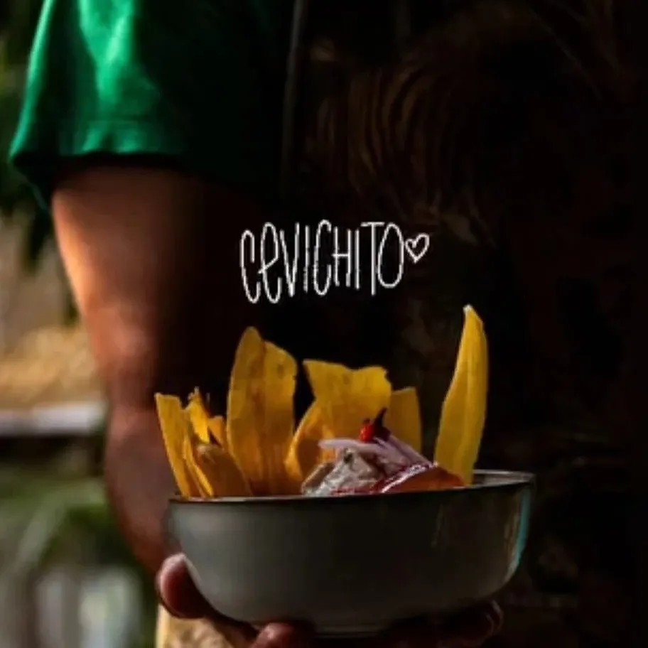 Image alt description