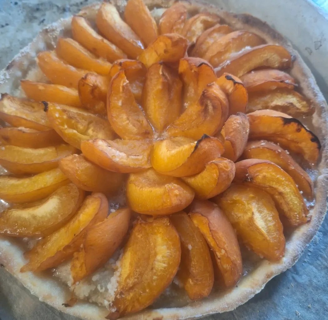 Image alt description