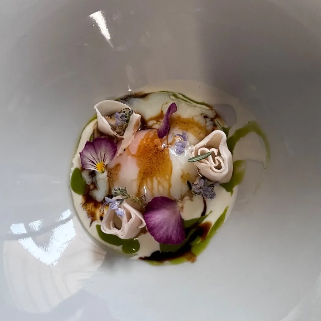 Image alt description