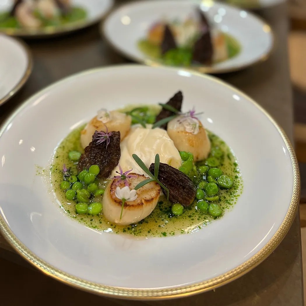 Image alt description