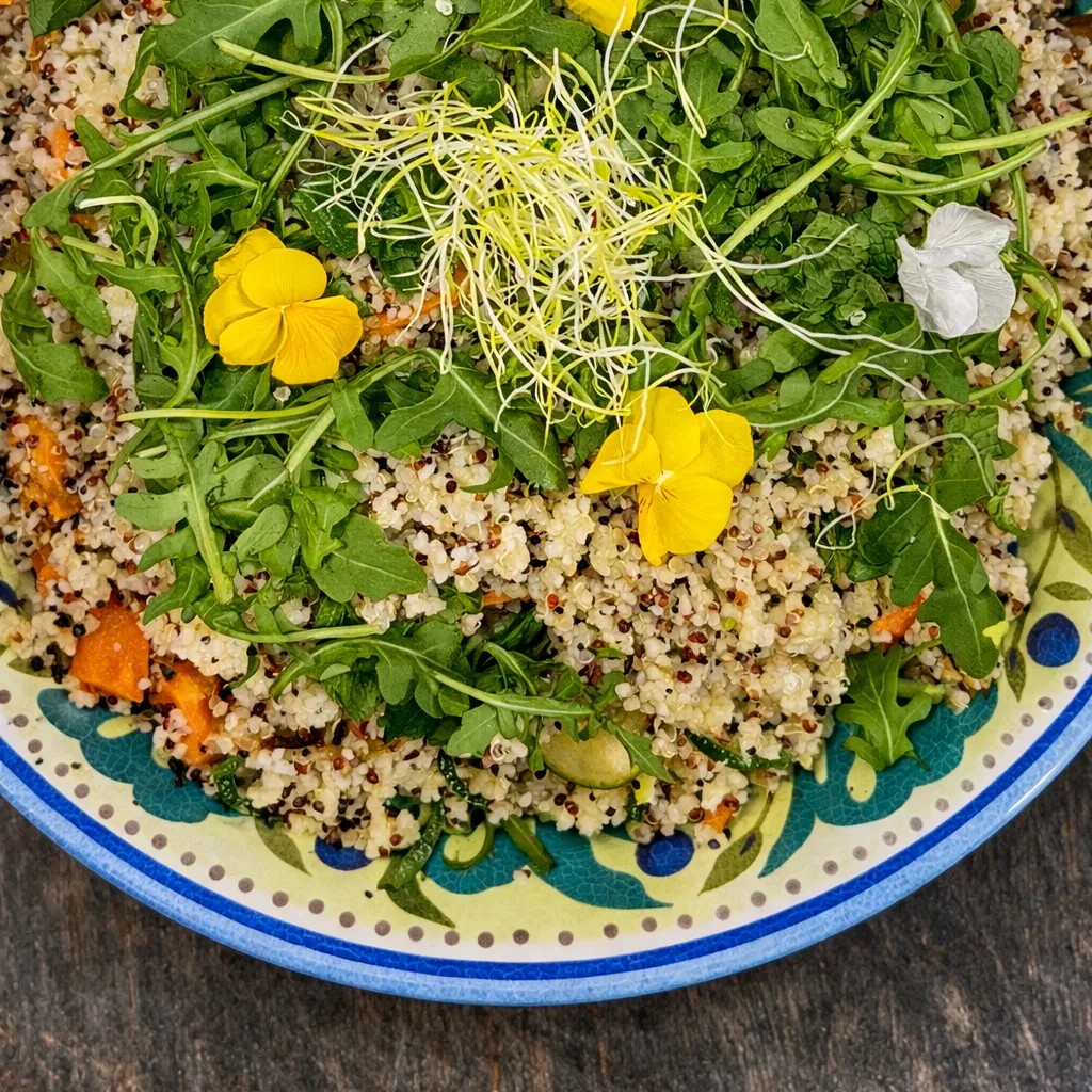 Image alt description