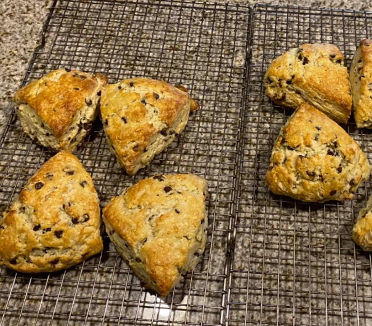 Image alt description