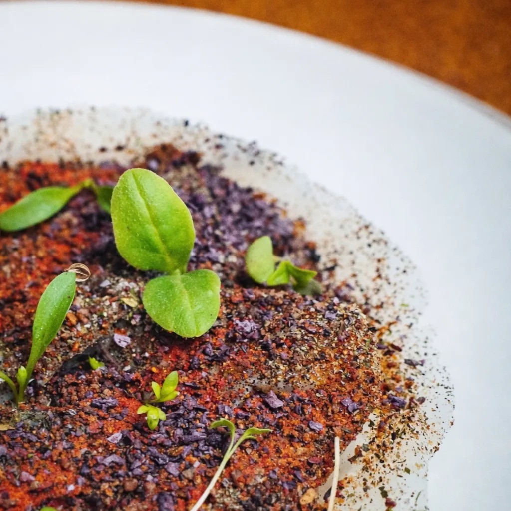 Image alt description