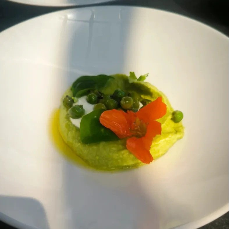 Image alt description