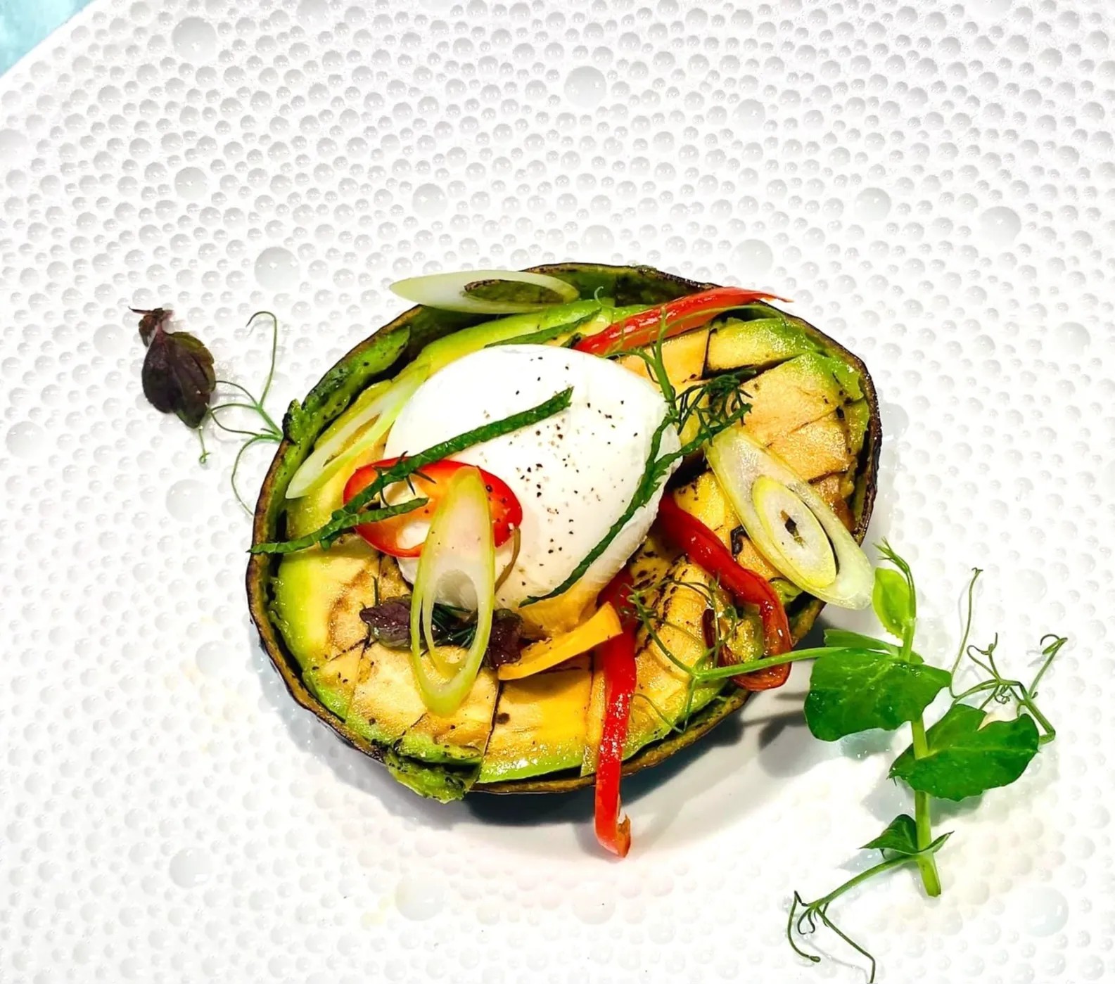 Image alt description