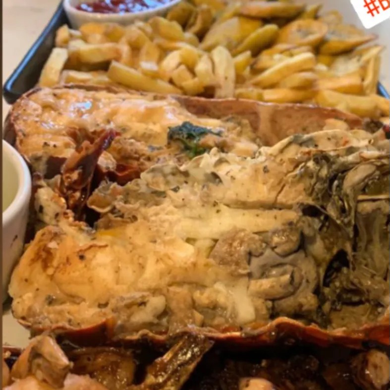 Image alt description