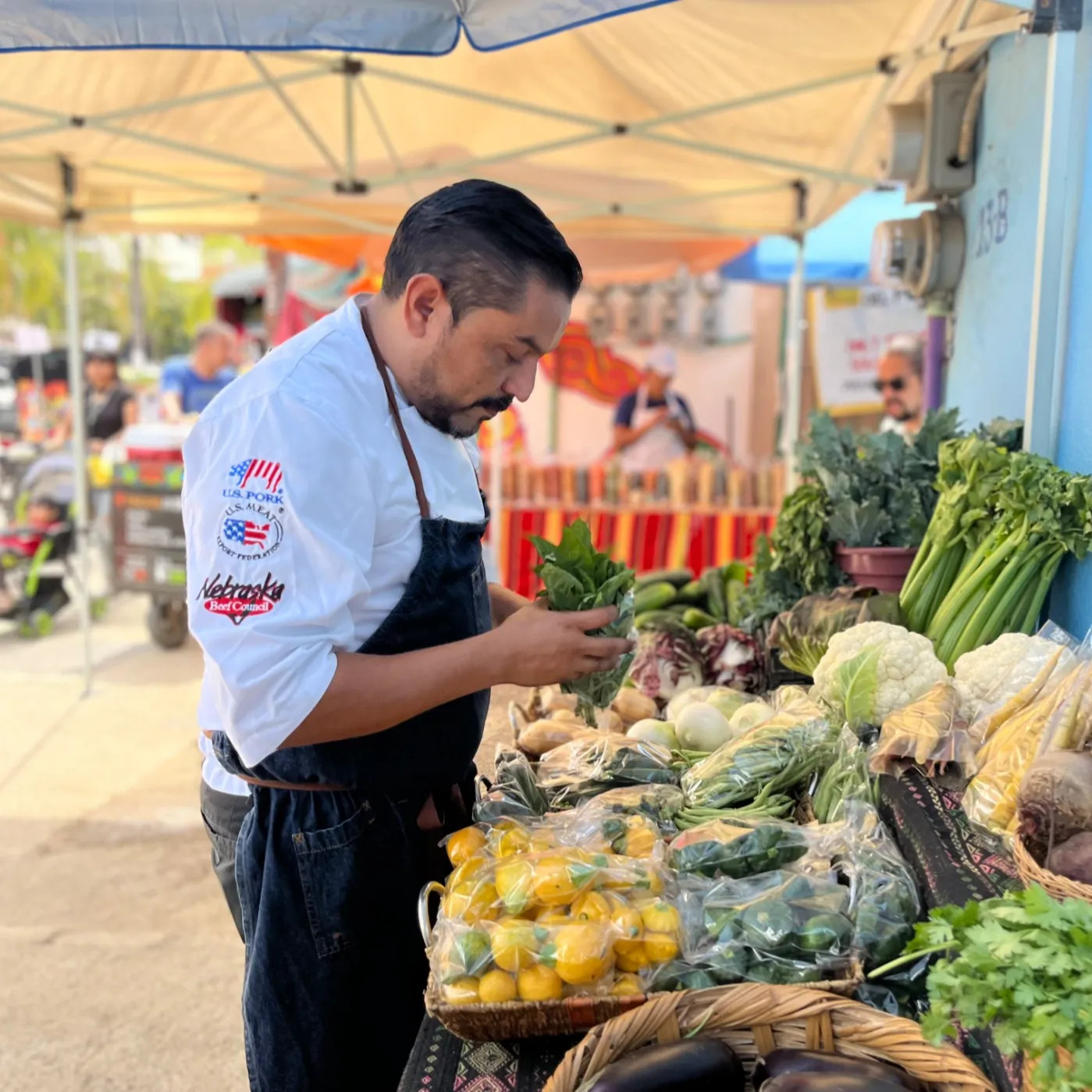 Image alt description