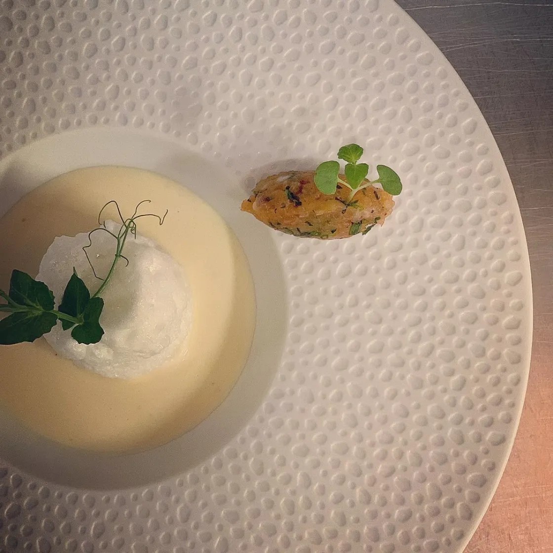 Image alt description