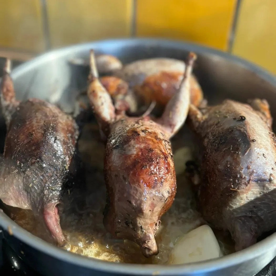 Image alt description