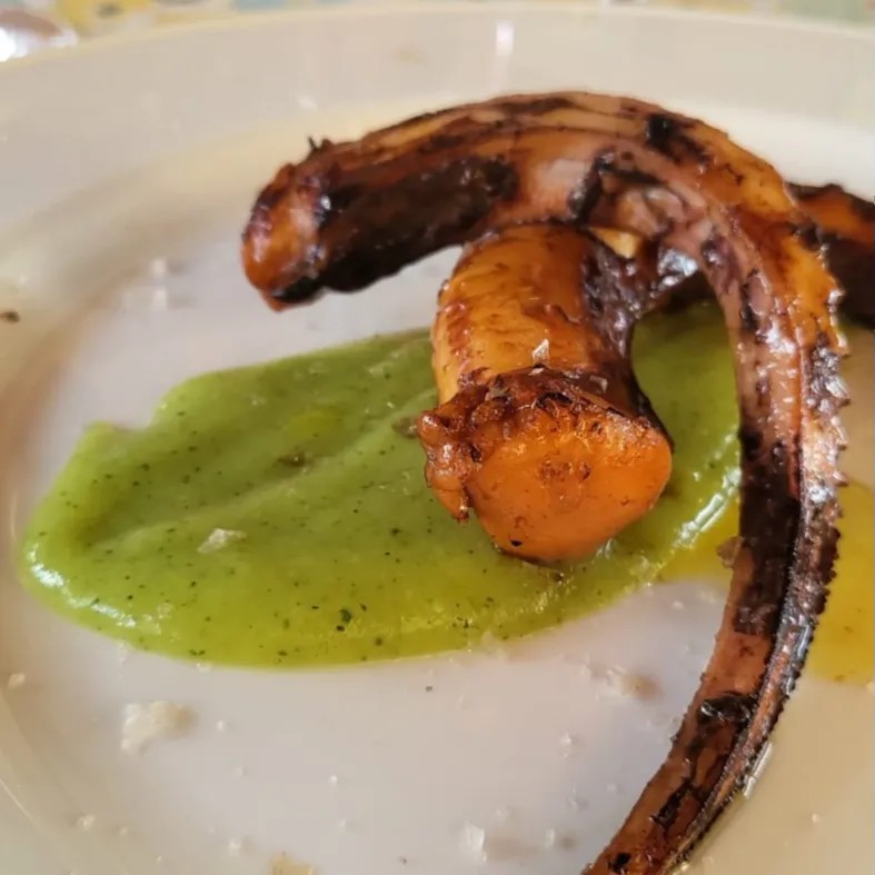 Image alt description