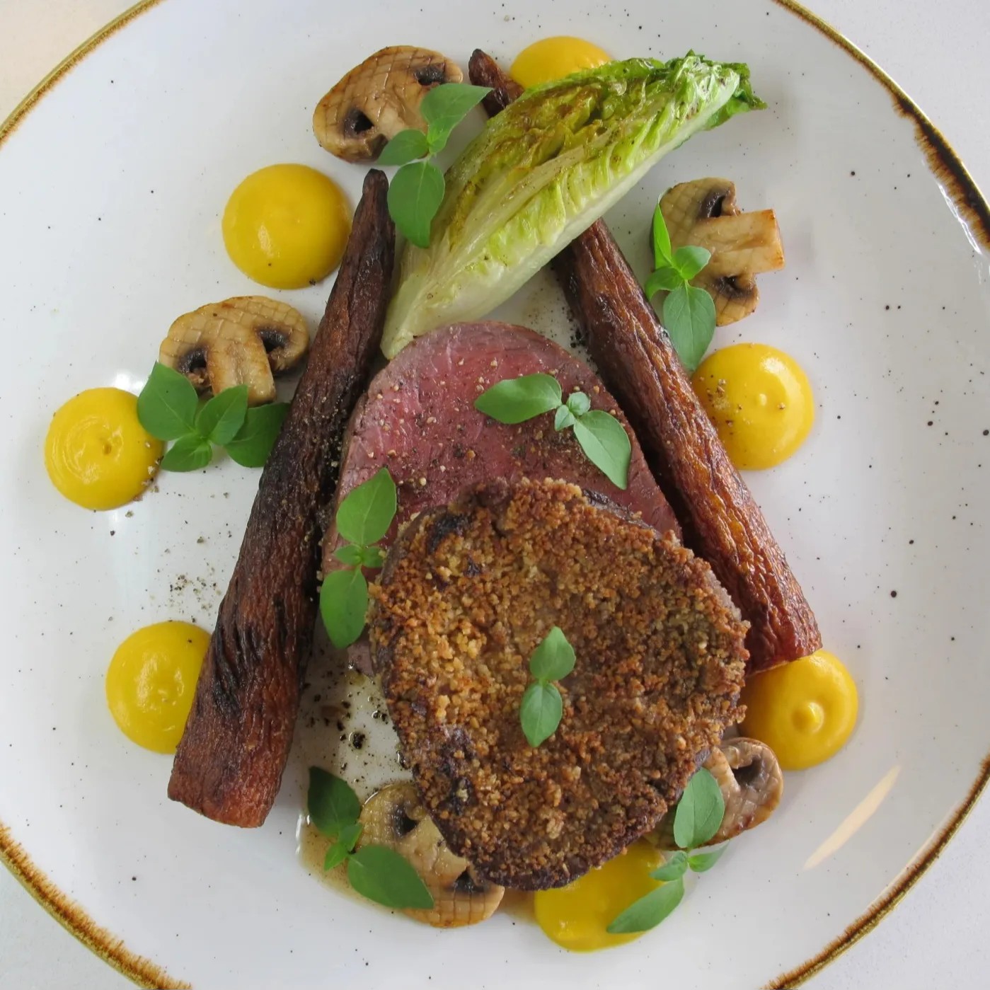 Image alt description