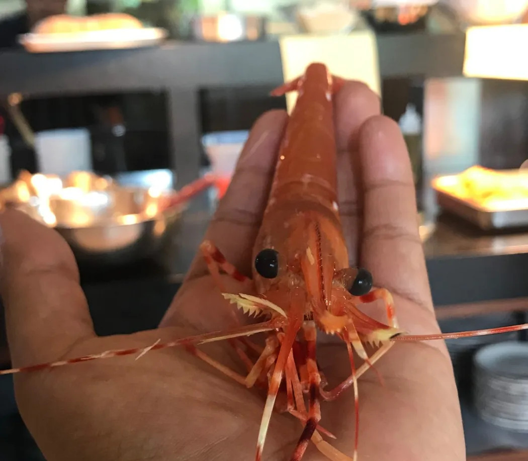 Image alt description