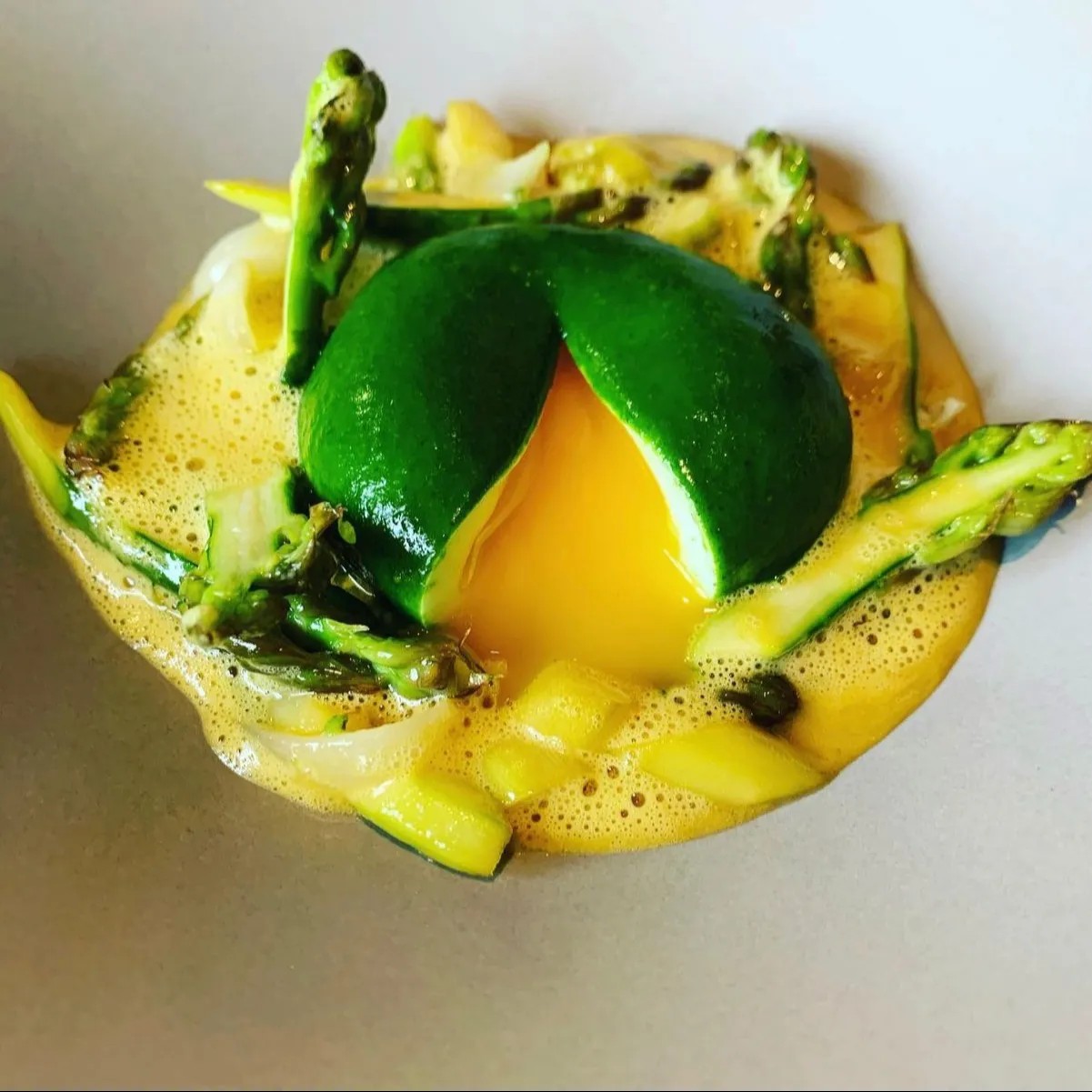 Image alt description