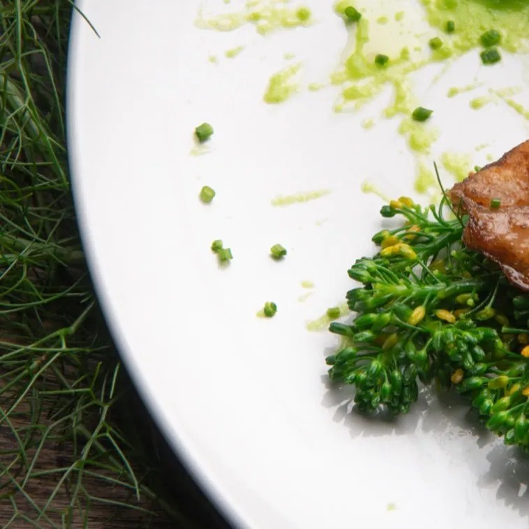 Image alt description