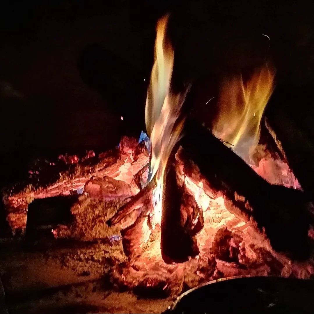 Image alt description