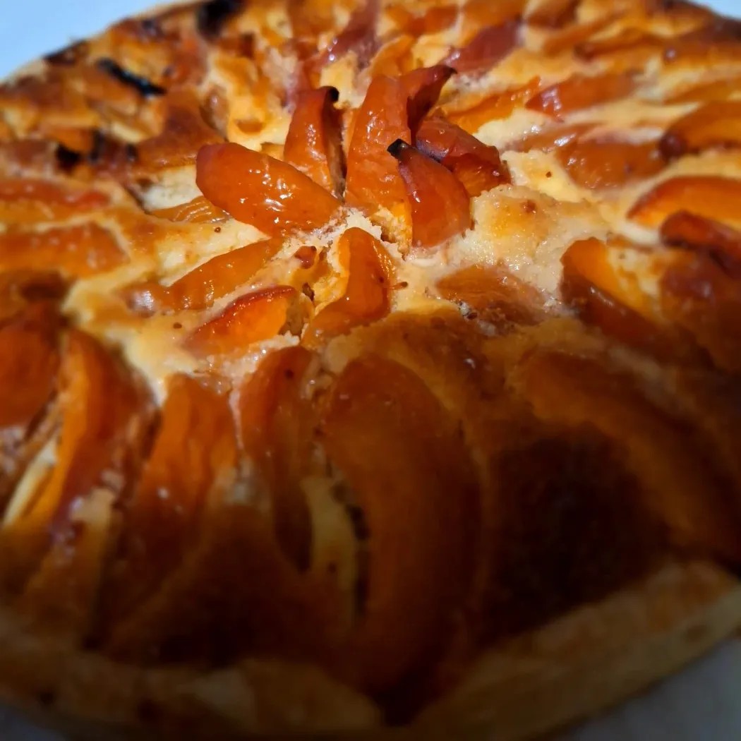 Image alt description