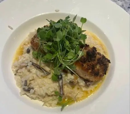 Image alt description