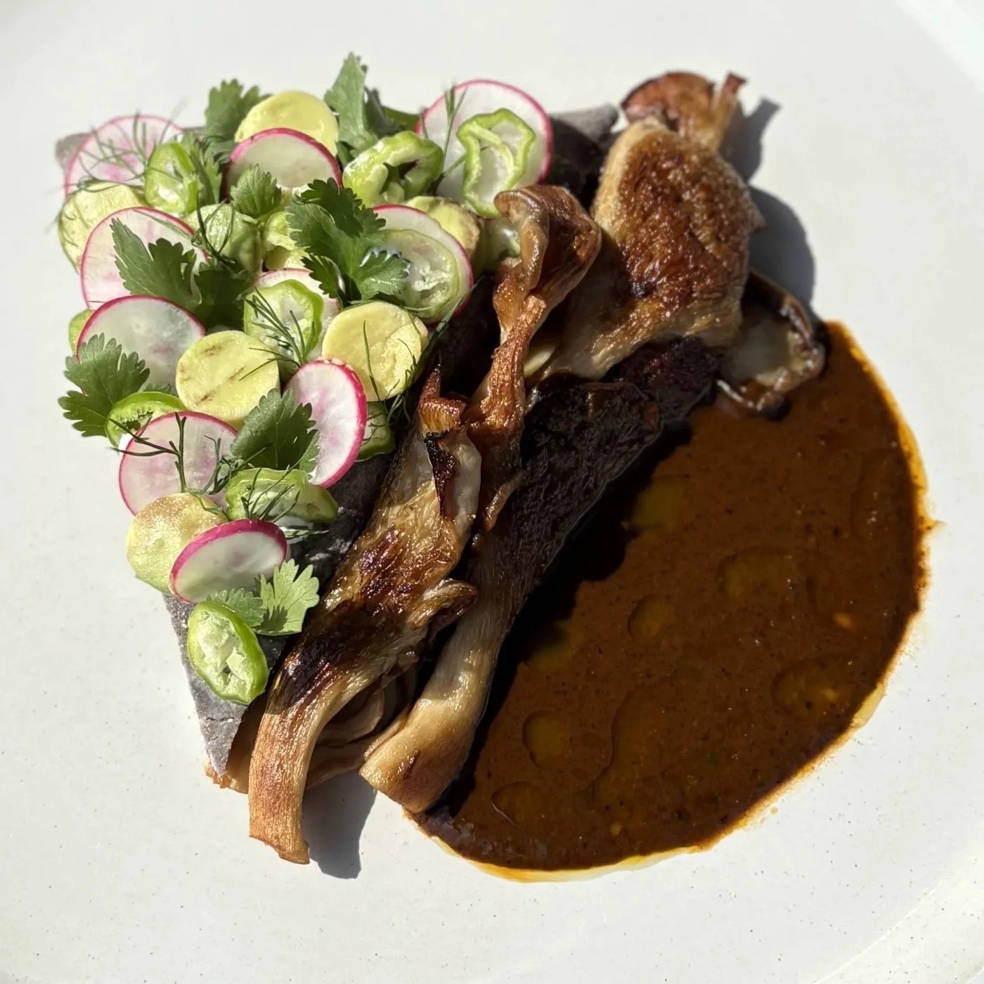 Image alt description