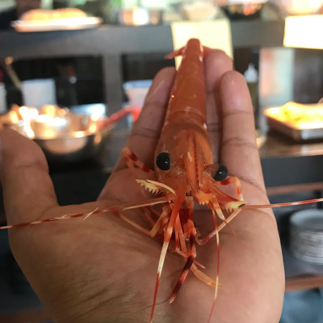 Image alt description