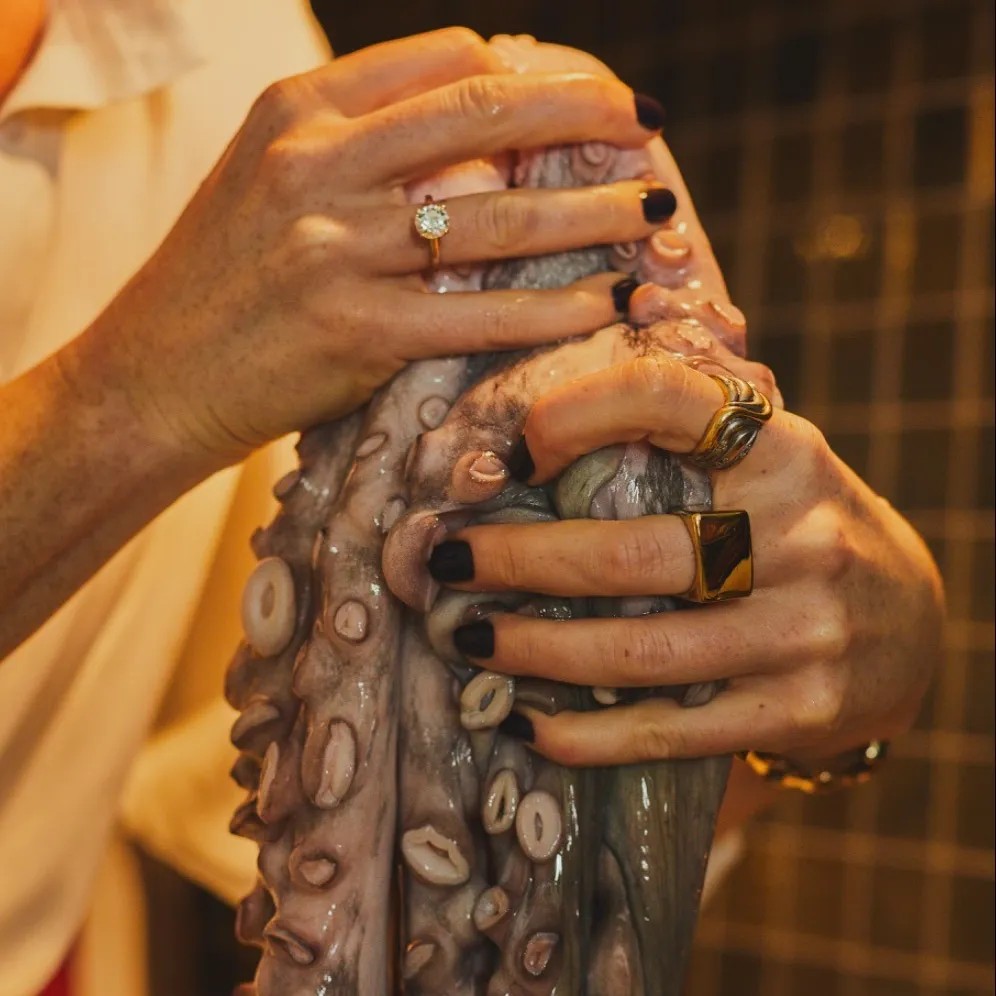 Image alt description