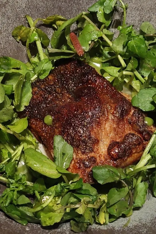 Image alt description