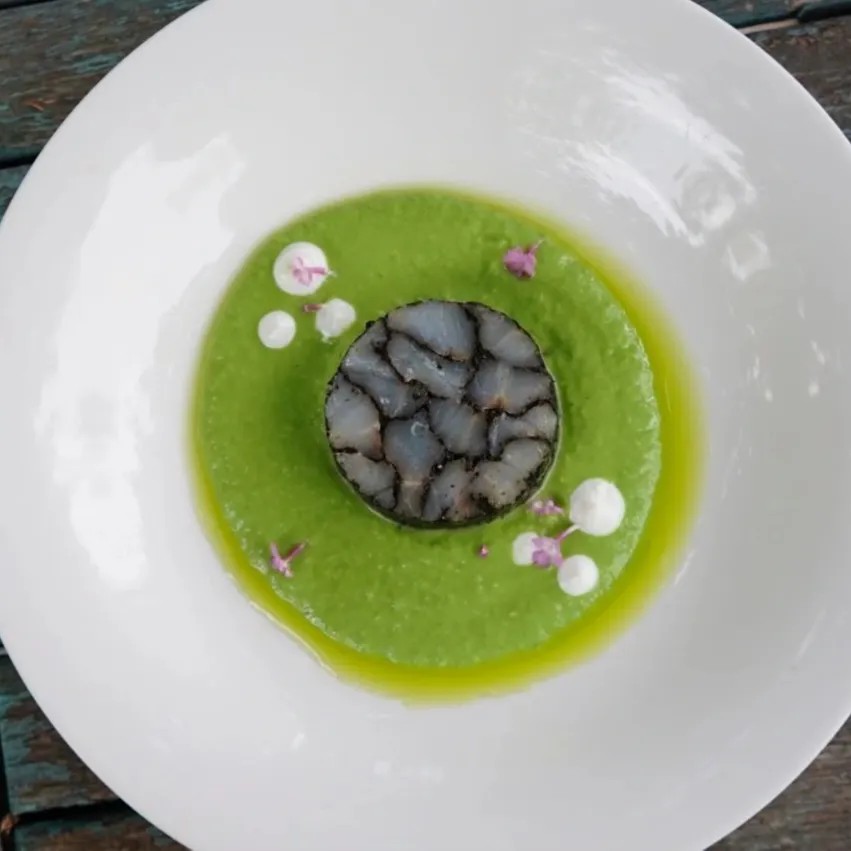 Image alt description