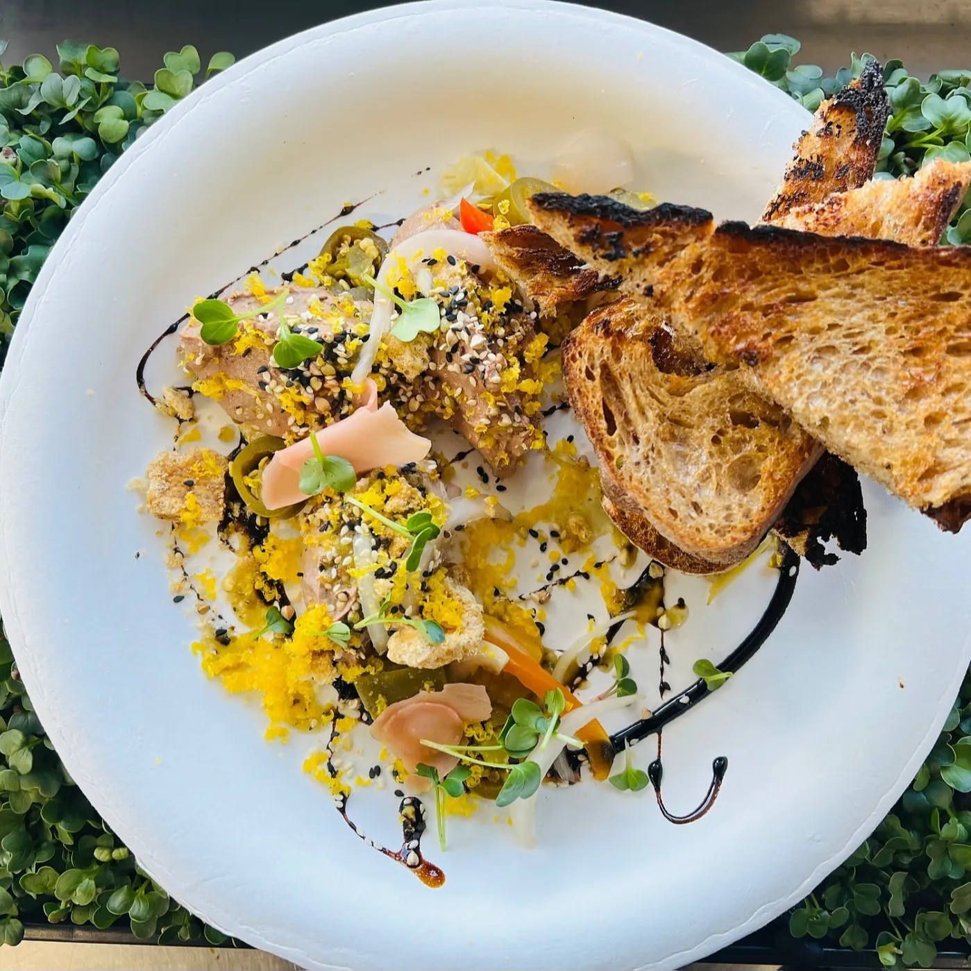 Image alt description