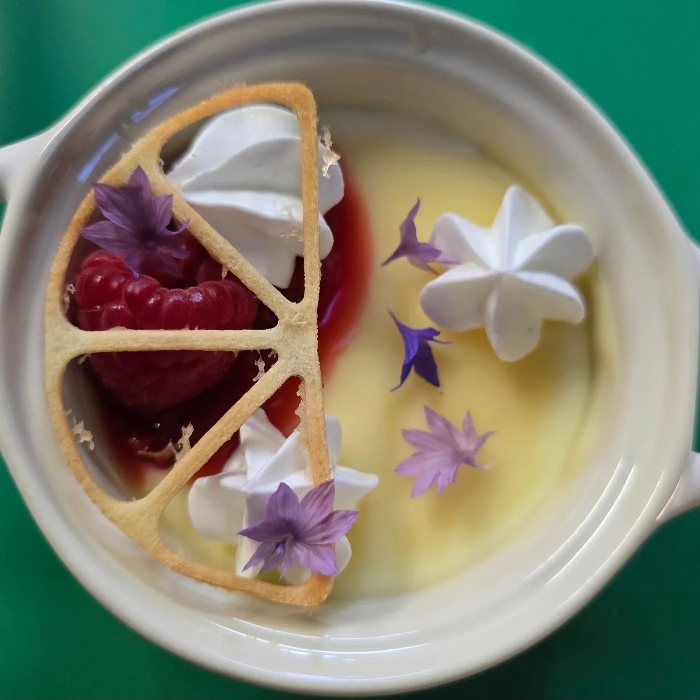 Image alt description