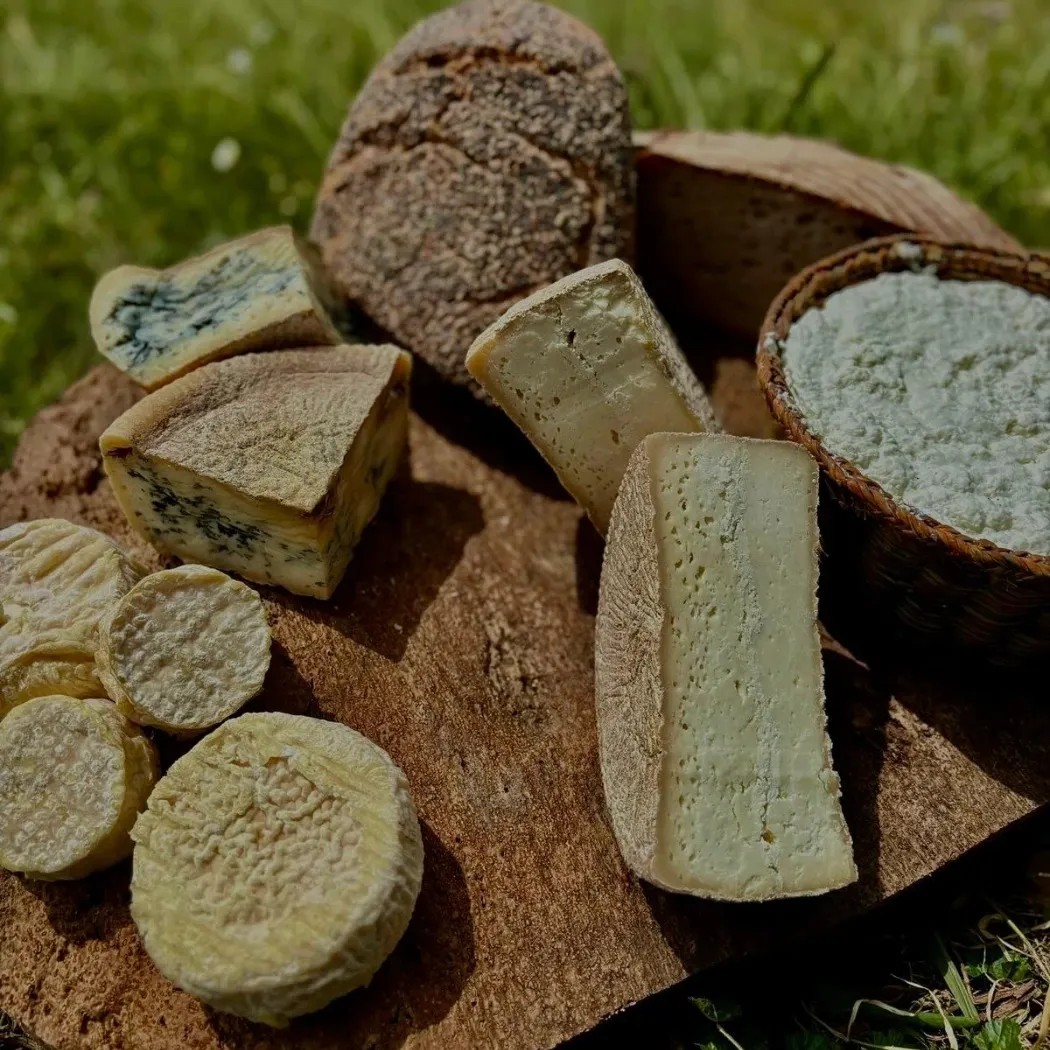 Image alt description