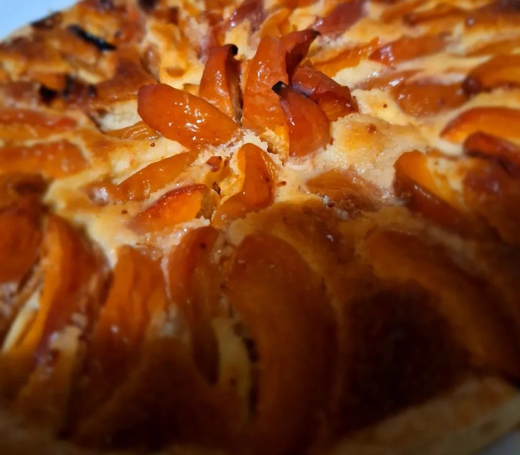 Image alt description